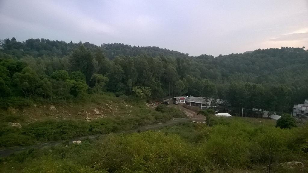 Bison Woods Ξενοδοχείο Yercaud Δωμάτιο φωτογραφία